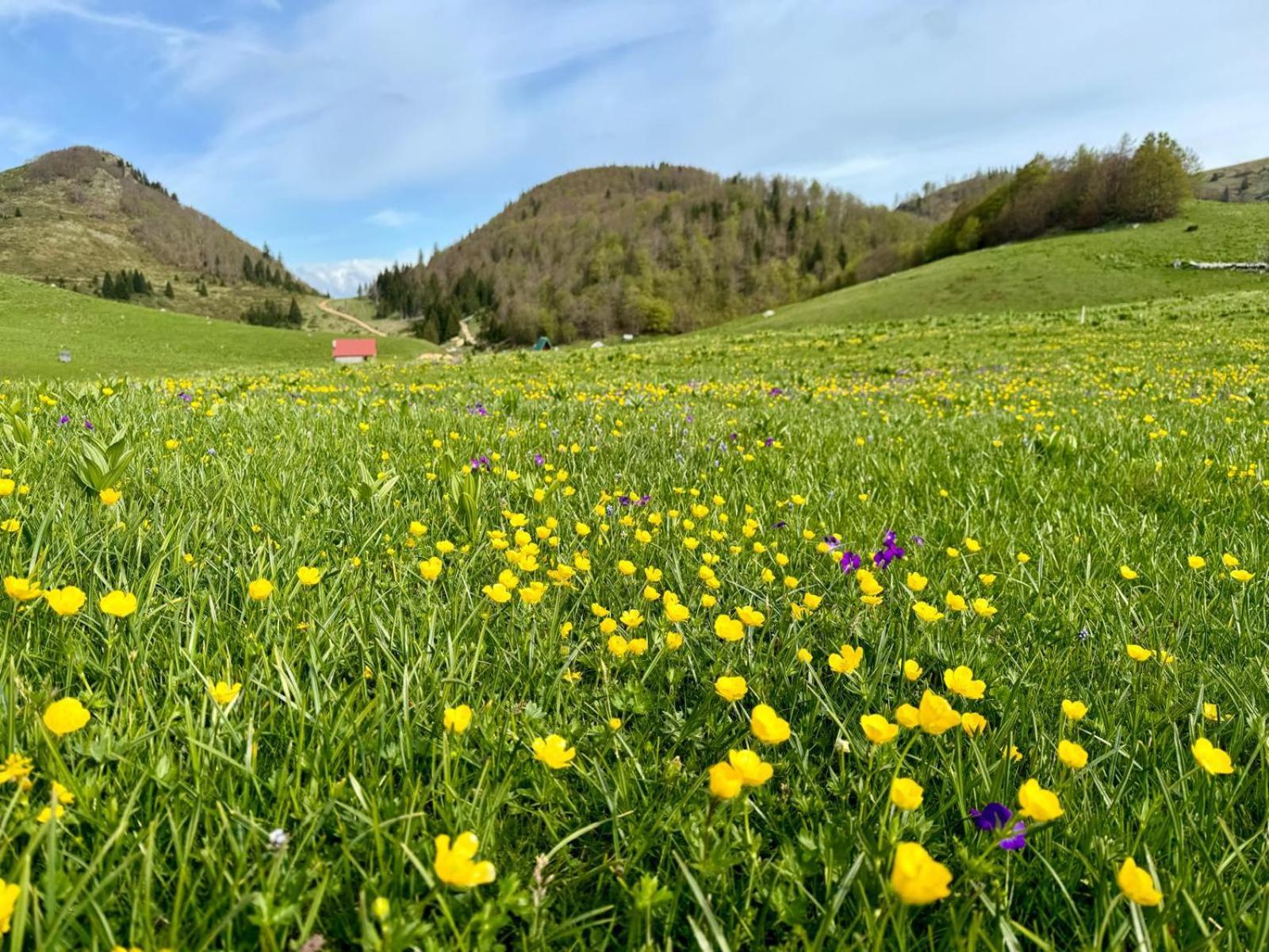 Katun Siska Medna Dolina Villa Berane Exteriör bild