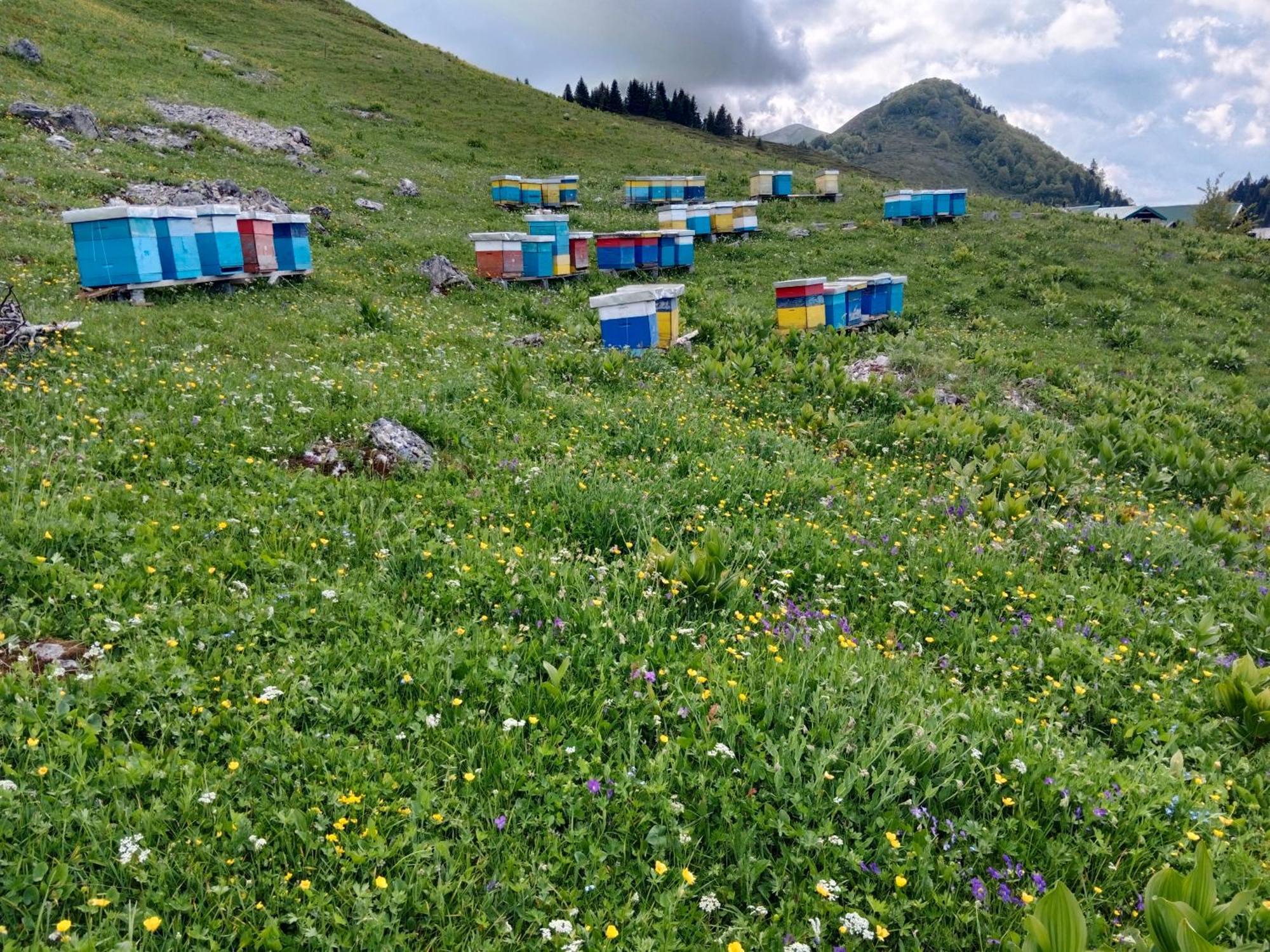 Katun Siska Medna Dolina Villa Berane Exteriör bild