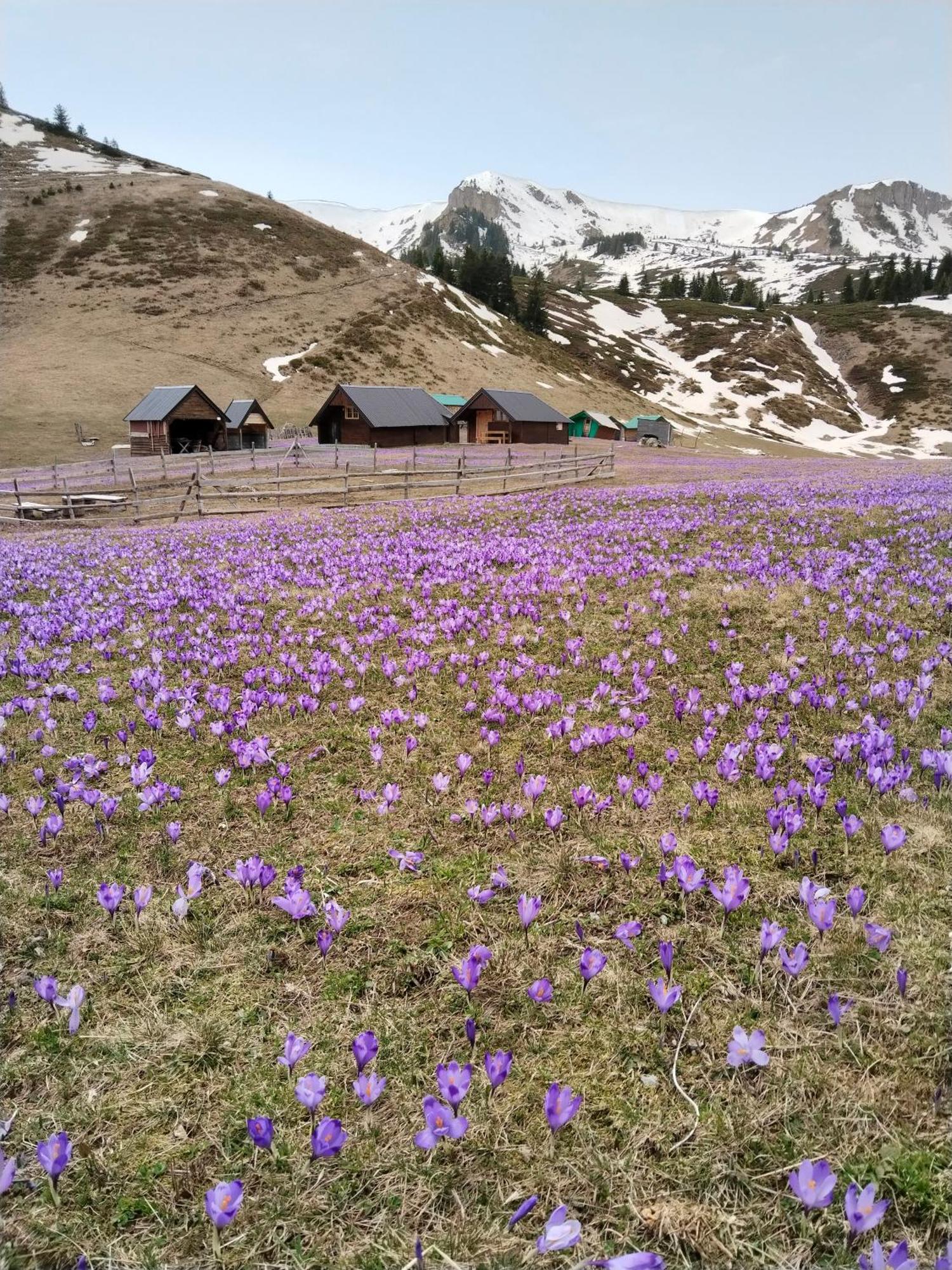 Katun Siska Medna Dolina Villa Berane Exteriör bild